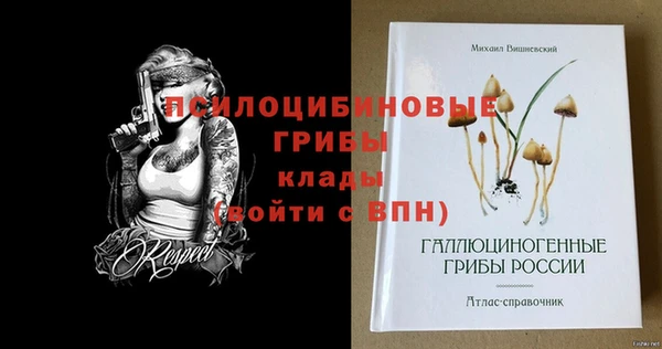 сатива Арсеньев
