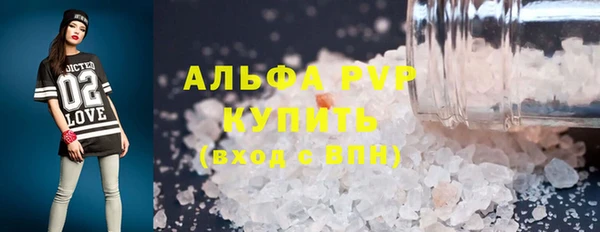 сатива Арсеньев