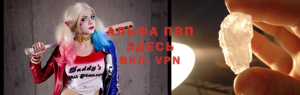 сатива Арсеньев