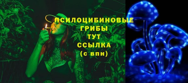 сатива Арсеньев